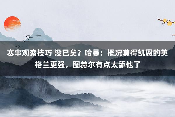 赛事观察技巧 没已矣？哈曼：概况莫得凯恩的英格兰更强，图赫尔有点太舔他了