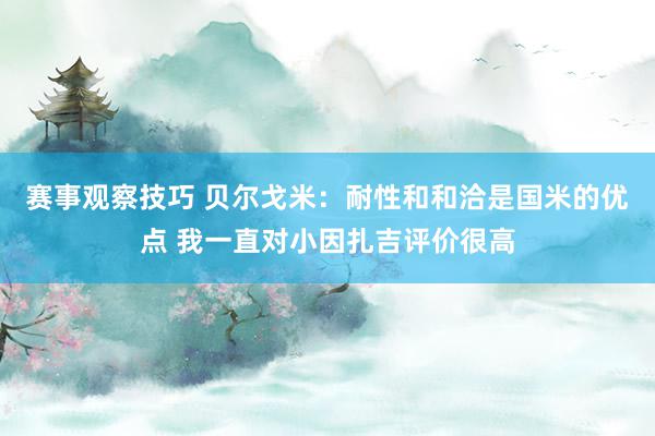 赛事观察技巧 贝尔戈米：耐性和和洽是国米的优点 我一直对小因扎吉评价很高