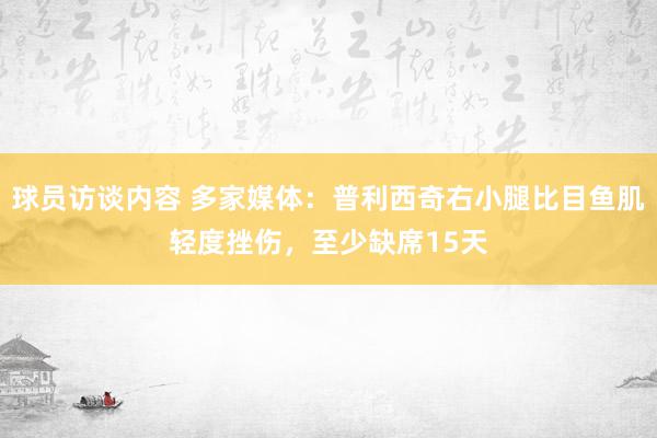 球员访谈内容 多家媒体：普利西奇右小腿比目鱼肌轻度挫伤，至少缺席15天