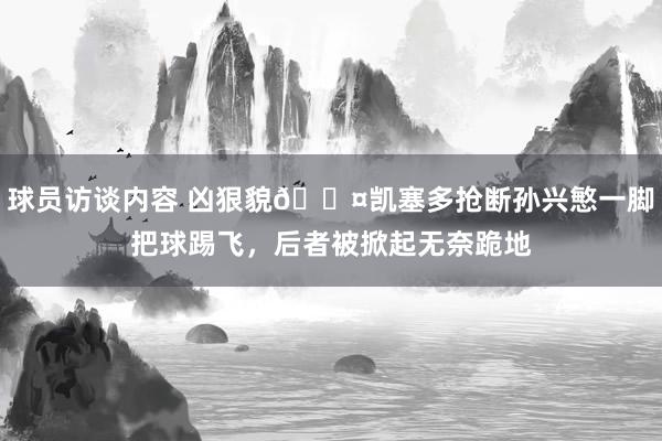 球员访谈内容 凶狠貌😤凯塞多抢断孙兴慜一脚把球踢飞，后者被掀起无奈跪地