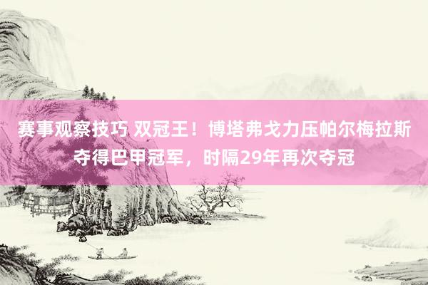 赛事观察技巧 双冠王！博塔弗戈力压帕尔梅拉斯夺得巴甲冠军，时隔29年再次夺冠